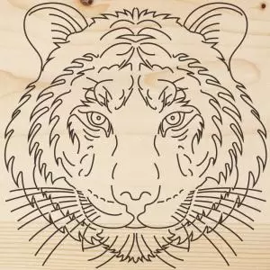 Доска для выжигания «Тигр», 150х150мм, 1 шт., пакет REXANT 